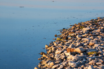 pebbles on the beach