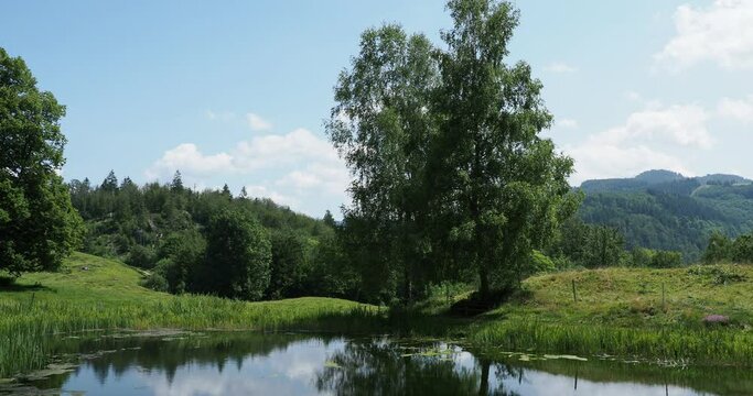 Sch&ouml;nau im Schwarzwald. Der Letzbergweiher entlang des Philosophenweges, ruhiger Ort am Ufer des kleinen Teiches