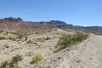 The beautiful scenery of the Mojave Desert, with the Black Mountains in the background, Mohave County, northwestern Arizona.