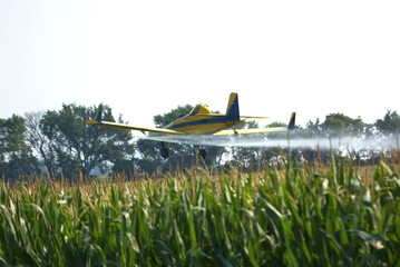 Low flying Crop Duster applying insecticide to the corn fields