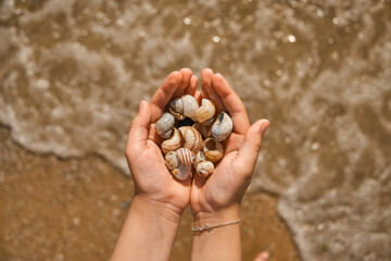 Close-up of children's hands with collected seashells over the sea