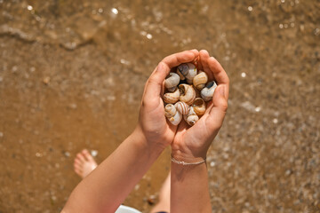 Close-up of children's hands with collected seashells over the sea