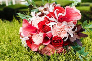 Red bridal bouquet of peonies and roses. Scenery for the wedding.