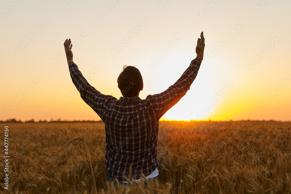 Wall mural Man grateful for the harvest raised his hands up in the field