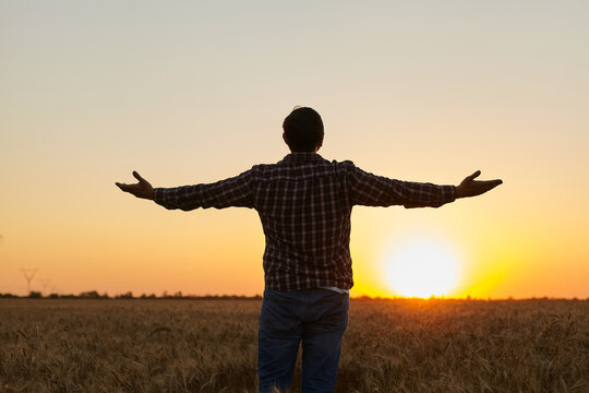 Man Grateful For The Harvest Raised His Hands Up In The Field