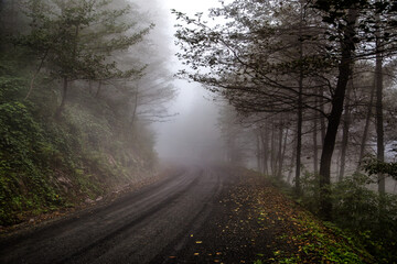 Autumn colors in Trabzon highlands