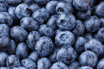 Fresh blueberry background. Blueberry Texture Close Blueberry Antioxidant Organic Superpeed Bowl Concept Healthy Nutrition