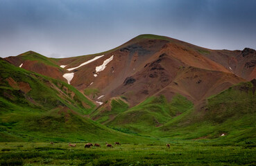 mountain landscape with wildlife and clouds 