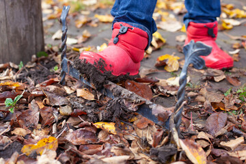 Boots on a shoe scraper. Dirty rubber boots are cleaned of dirt from the sole on the English traditional shoe scraper in the autumn garden. 