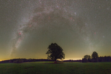 milky way in autumn over the tree, in northern hemisphere.