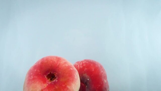 Closeup 4k footage of donut peaches falling in water against white backgorund.