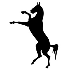 Icon of horse silhouette. Black illustration of mustang stallion