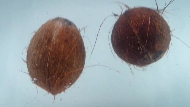 Closeup 4k footage of coconut falling in water against white backgorund.