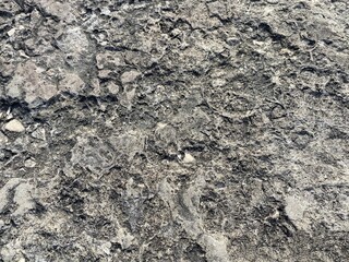 Rock stone background. Texture of stone. Pebble gravel shell concrete.