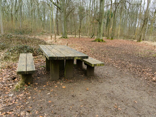 Picnic table in the woods