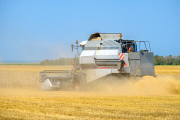 Obraz premium A modern gray agricultural harvester mows ripe yellow dried wheat in a field in the dust on a hot sunny summer day.