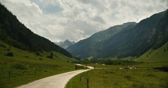 Seidenwiknkeltal &Ouml;sterreich