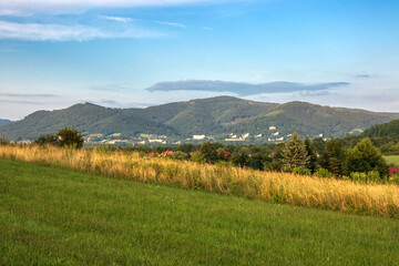 Fototapeta na wymiar View on Ustroń from a meadow in Cisownica