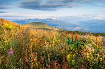 View of the Bieszczadzkie peak from Połonina Caryńska, Bieszczadzki National Park, Wetlina © LukaszB