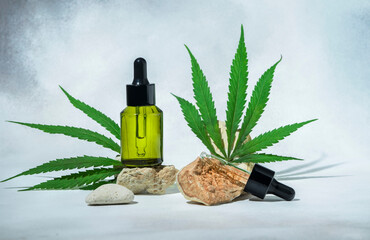 hemp cosmetic oil or serum, treatment for hair and scalp