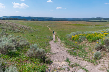 Obraz premium Hiker on Clear Lake Trail