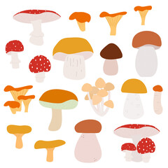 Vector set with different edible and non-edible mushrooms isolated on white background. Flat food illustration.