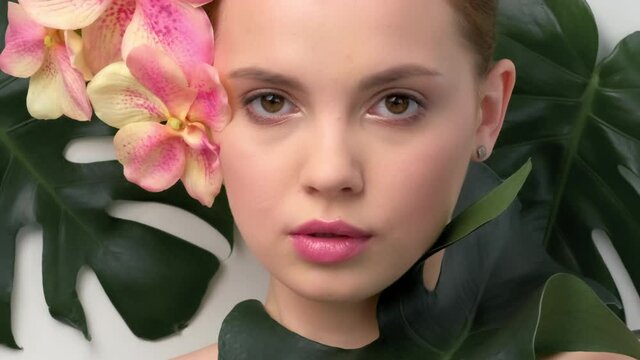 Closeup face of young beautiful woman with a healthy clean skin.  Beautiful white girl with big green leaves. Beauty and spa treatment concept. Pretty woman with natural makeup and plant near face.
