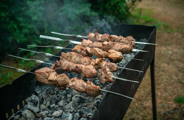 Cooking shish kebab on the fire. The meat is fried on metal skewers on a barbecue in the garden.
