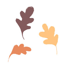Obraz premium Vector image of colored oak leaves on a white background. Autumn. Brush strokes. Ink style. Hand drawing. Doodle