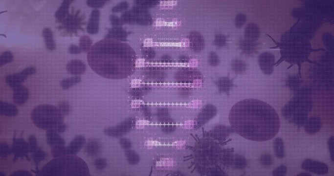 Animation of dna strand spinning over platelets and blood cells