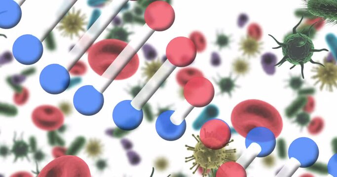 Animation of dna strand spinning over platelets and blood cells