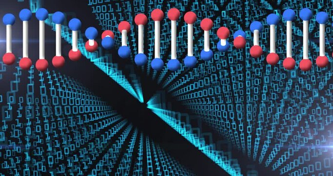 Animation of dna strand spinning over binary code