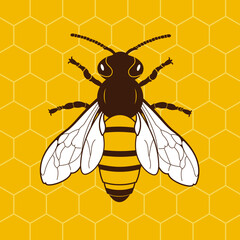 Vector Illustration of a Bee on a Honeycomb Background