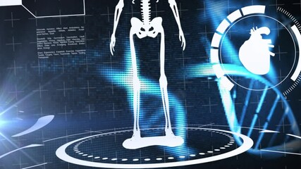 Animation of digital interface and data processing over human skeleton and brain - Powered by Adobe