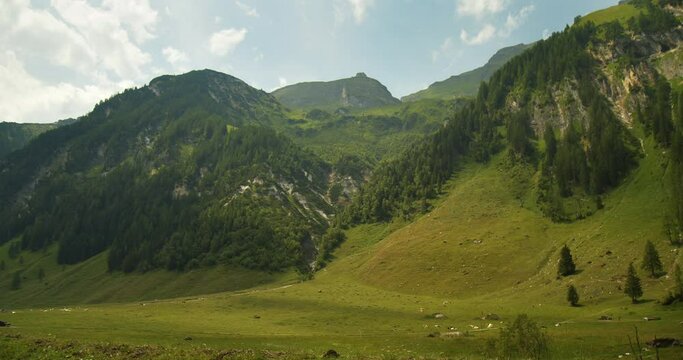Almlandschaft in den Alpen 