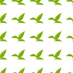 Tea leaf pattern on a white background for packaging or textile design