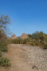 Vertical Desert Landscape