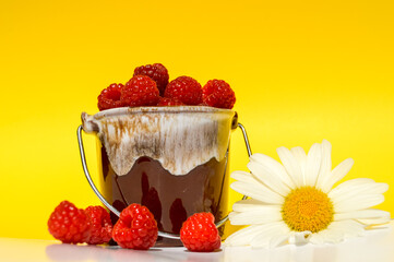 Saison des framboises