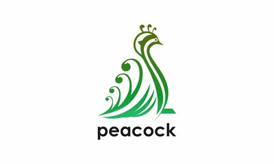 Peacock logo and icon design vector.