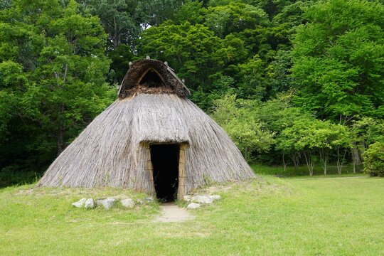 竪穴式住居（夏）/Japanese pit-house dwelling in the woods