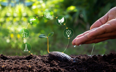 Plants growing on soil and hands watering plants with icons related to plant growth. Concept of agriculture and sustainable plant growth.