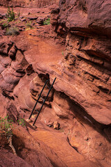 A ladder assists hikers maintain their trek along the Fisher Towers Trail in Moab Utah