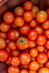 A top view of multiple vibrant ripe organic red cherry tomatoes in a large bowl.  All the ripe tomatoes except one have the stem on the tomato.  They are round vibrant full and juicy vegetables. 