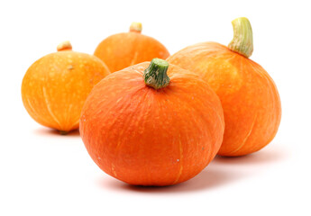 Orange pumpkin on white background 