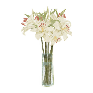watercolor tropical lily flower on vase illustration