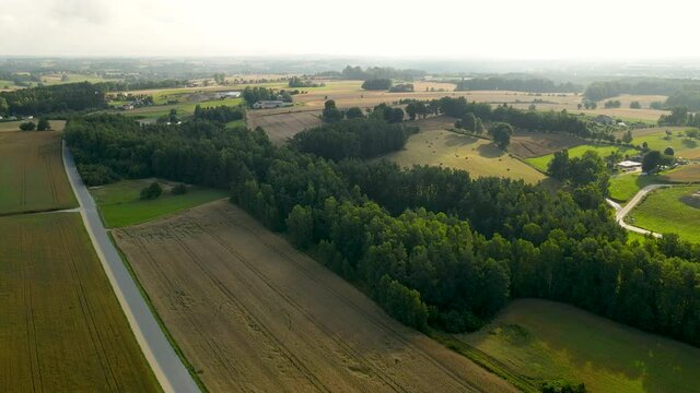 Aerial View Of Countryside Land With Dense Trees In Summer Near Czeczewo In Poland.