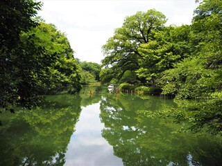 Fototapeta premium Inokashira Park in Tokyo, Japan