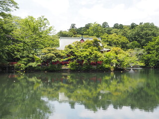 Fototapeta na wymiar Inokashira Park in Tokyo, Japan