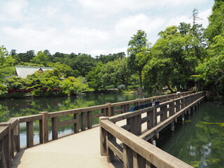 Fototapeta na wymiar Inokashira Park in Tokyo, Japan