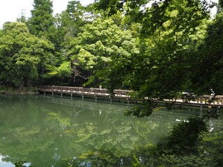 Inokashira Park in Tokyo, Japan